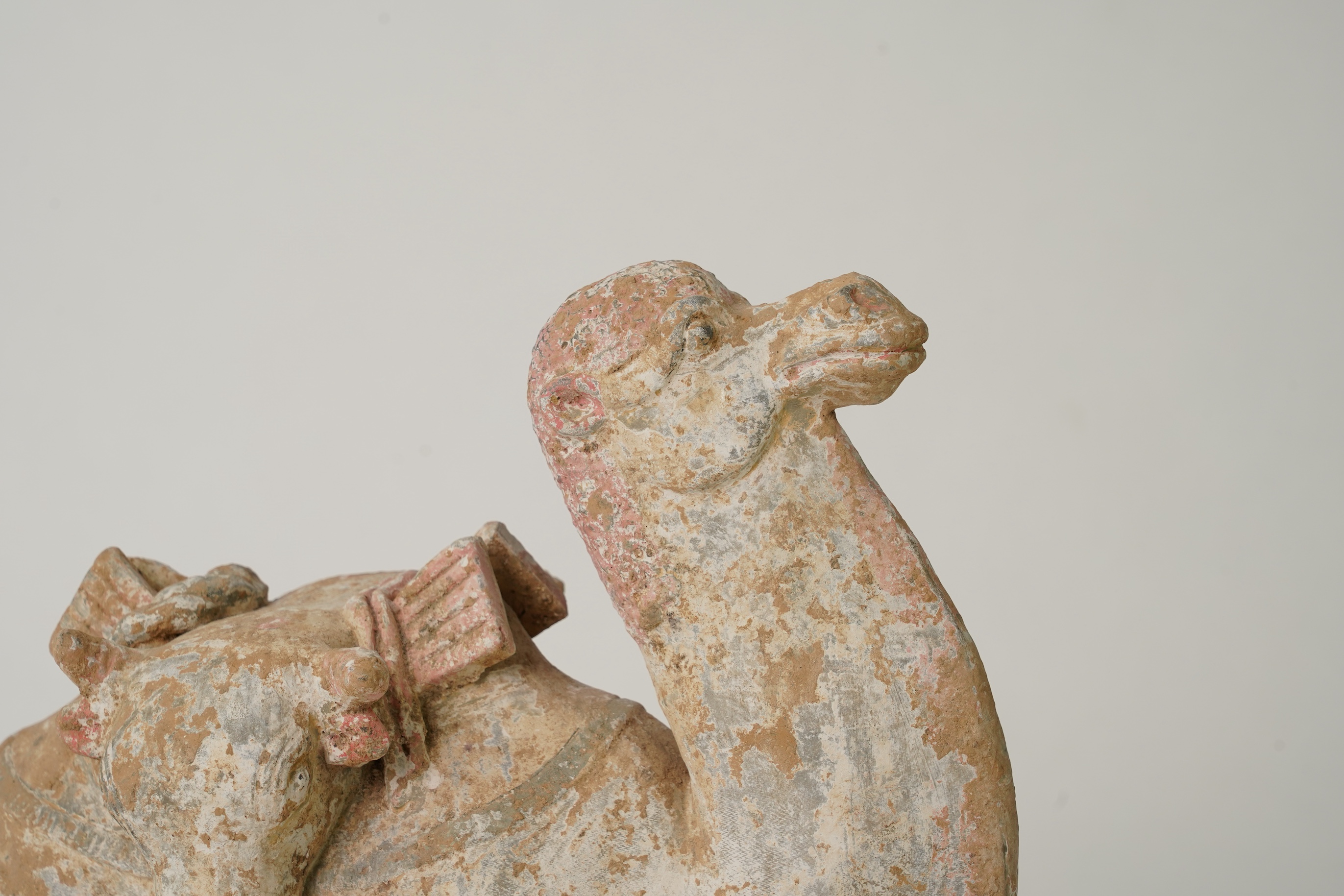 A Chinese pottery tomb figure of a Bactrian camel, Tang dynasty or later